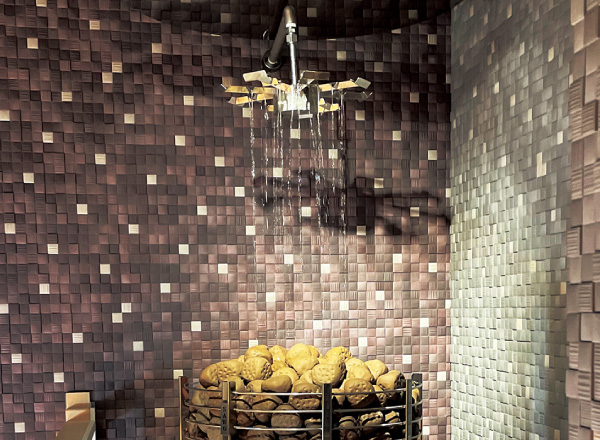 ロウリュサウナ（自動）の施工例