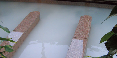 ホワイトイオンバス